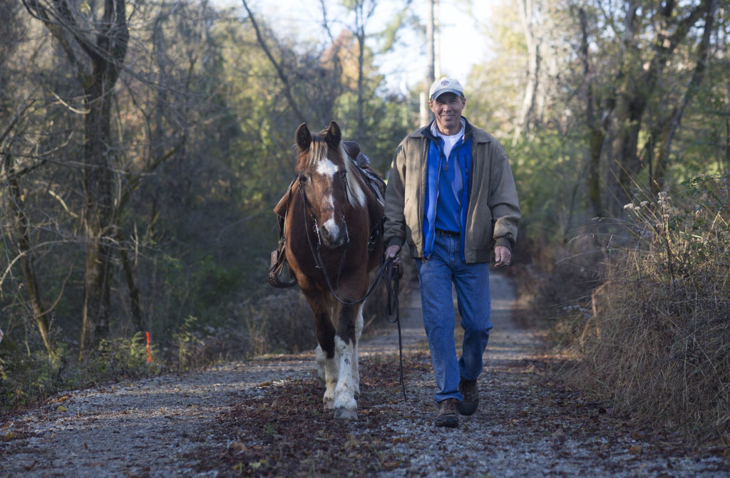 about Lucian Spataro Land being restored to pasture for horses