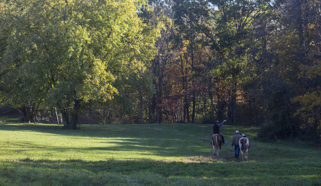 Lucian Spataro Land being restored to pasture for horses