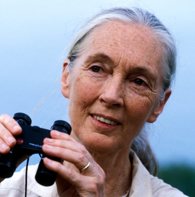 Jane Goodall