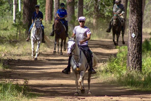 Lucian Spataro and others riding horses through the woods