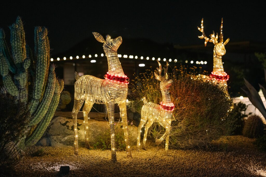 Christmas reindeer light up decorations and cactus