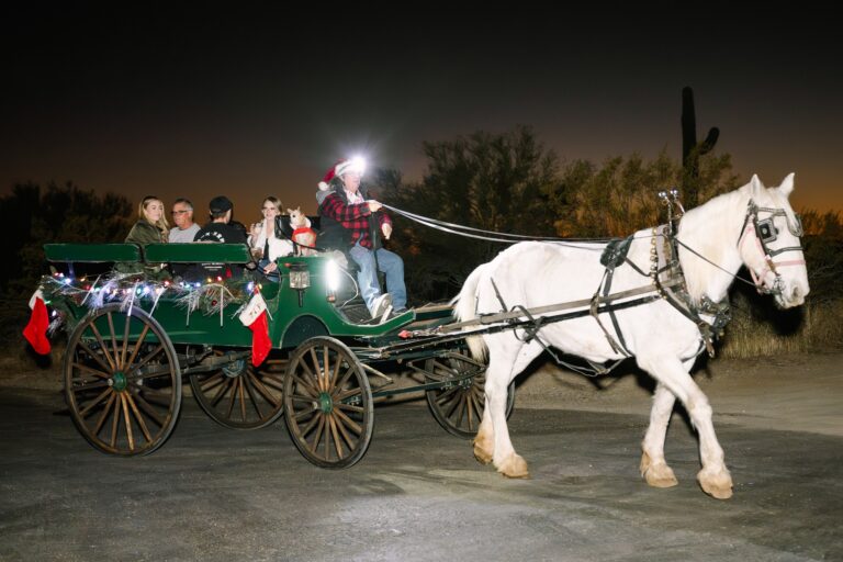 The PROMISE Ranch Christmas party!