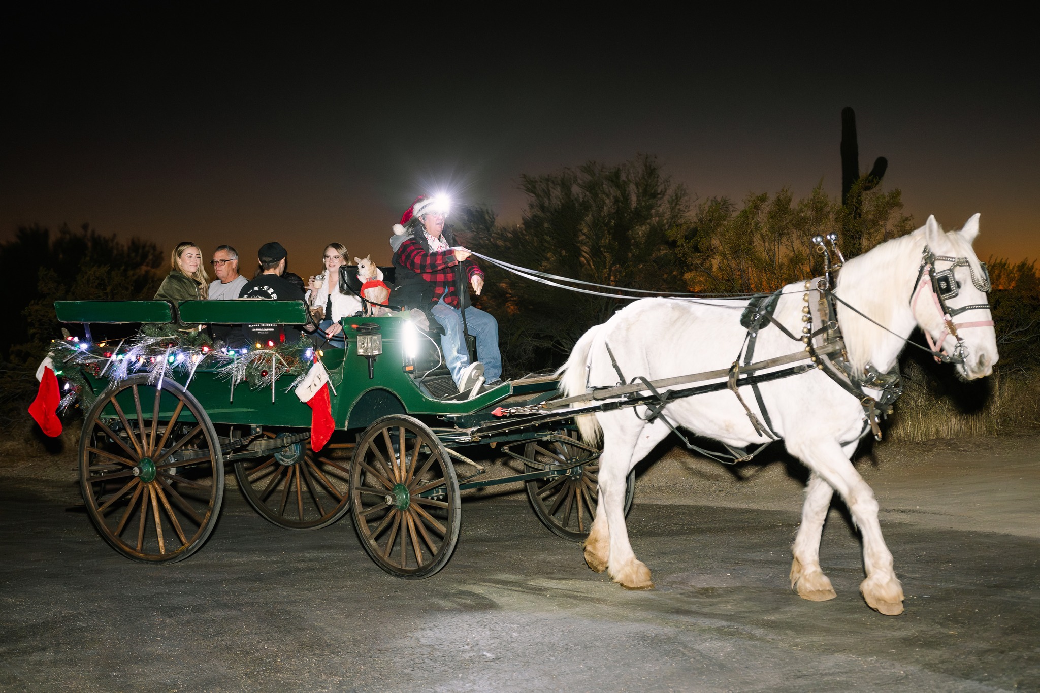 horse drawn holiday cart full of people