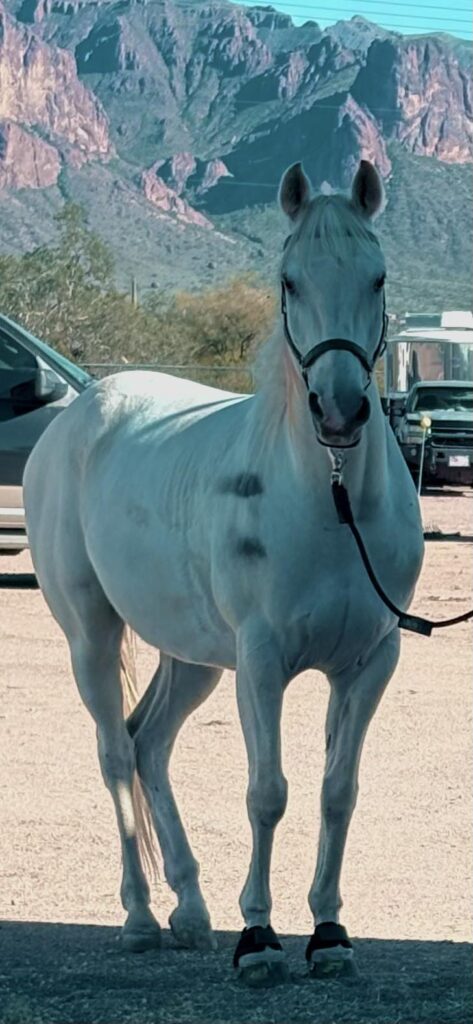 Sandman's back and with a bit of a BANG